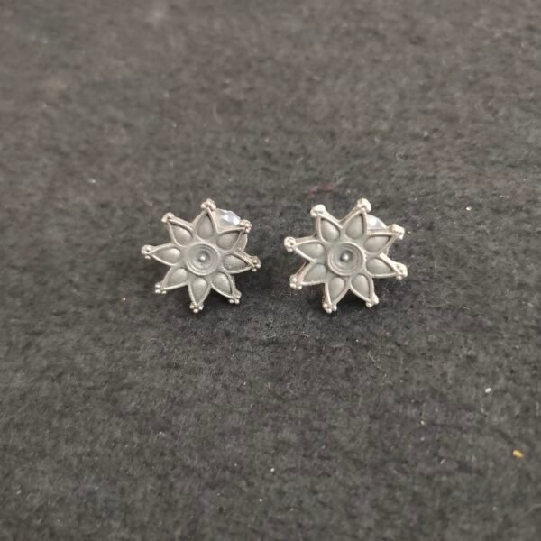 Earrings 003704