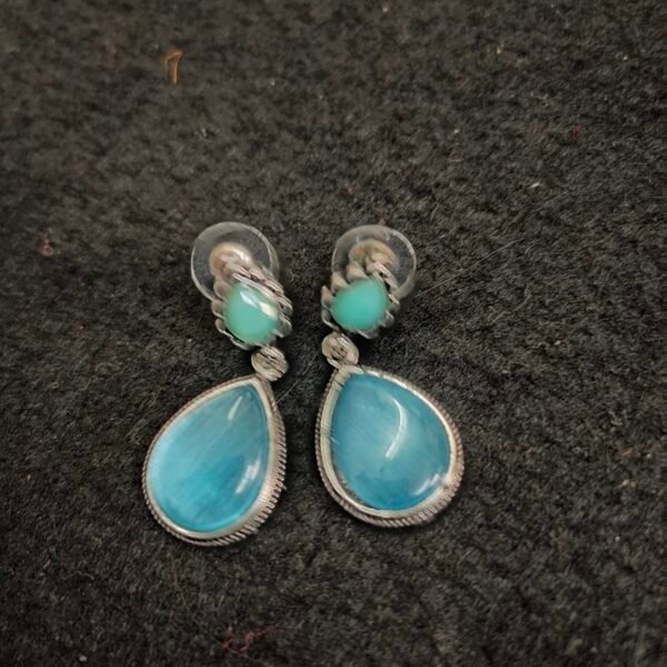 Earrings 003662