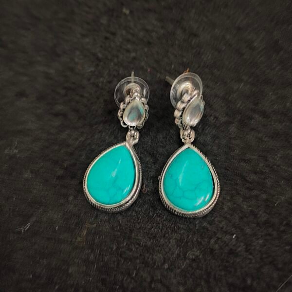 Earrings 003661