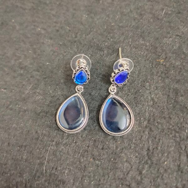 Earrings 003659