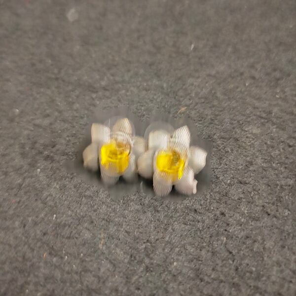 Earrings 003650