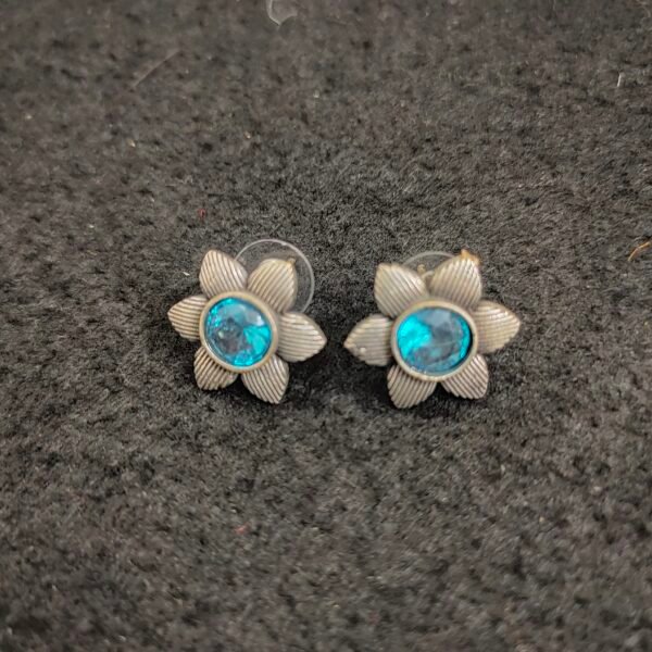 Earrings 003648